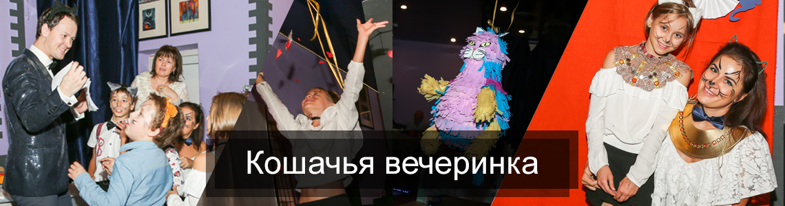 Зарисовки с кошачьих вечеринок